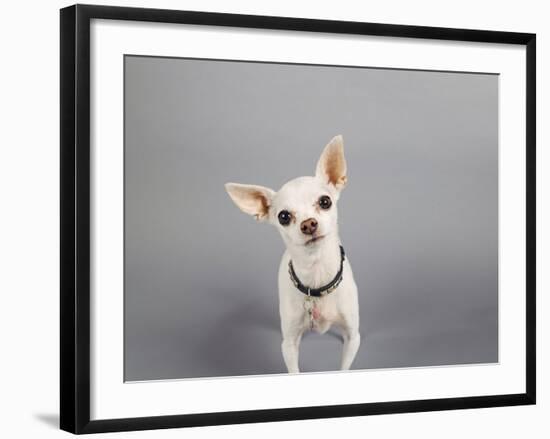 Psssst...-Susan Sabo-Framed Photographic Print