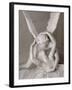 Psyché ranimée par le baiser de l'Amour-Antonio Canova-Framed Giclee Print