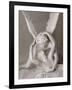 Psyché ranimée par le baiser de l'Amour-Antonio Canova-Framed Giclee Print