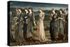 Psyche-Edward Burne-Jones-Stretched Canvas