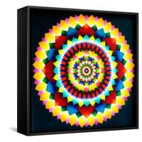 Psychedelic Mandala, 1969-Larry Smart-Framed Stretched Canvas