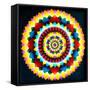 Psychedelic Mandala, 1969-Larry Smart-Framed Stretched Canvas