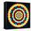Psychedelic Mandala, 1969-Larry Smart-Framed Stretched Canvas