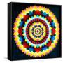 Psychedelic Mandala, 1969-Larry Smart-Framed Stretched Canvas