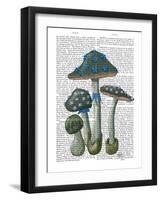 Psychedelic Mushrooms 1-Fab Funky-Framed Art Print