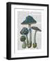 Psychedelic Mushrooms 1-Fab Funky-Framed Art Print