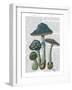 Psychedelic Mushrooms 1-Fab Funky-Framed Art Print