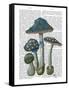 Psychedelic Mushrooms 1-Fab Funky-Framed Stretched Canvas