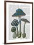 Psychedelic Mushrooms 1-Fab Funky-Framed Art Print