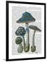 Psychedelic Mushrooms 1-Fab Funky-Framed Art Print