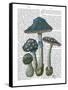 Psychedelic Mushrooms 1-Fab Funky-Framed Stretched Canvas