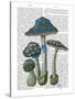 Psychedelic Mushrooms 1-Fab Funky-Stretched Canvas