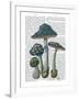 Psychedelic Mushrooms 1-Fab Funky-Framed Art Print