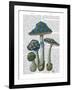 Psychedelic Mushrooms 1-Fab Funky-Framed Art Print