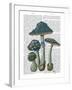 Psychedelic Mushrooms 1-Fab Funky-Framed Art Print