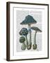 Psychedelic Mushrooms 1-Fab Funky-Framed Art Print