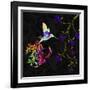 Psychedelic Twilight-Tina Lavoie-Framed Giclee Print