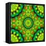 Psychedelic Visions-Medusa81-Framed Stretched Canvas