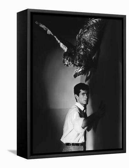 PSYCHO, 1960 directed by ALFRED HITCHCOCK Anthony Perkins (b/w photo)-null-Framed Stretched Canvas