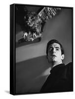 PSYCHO, 1960 directed by ALFRED HITCHCOCK Anthony Perkins (b/w photo)-null-Framed Stretched Canvas