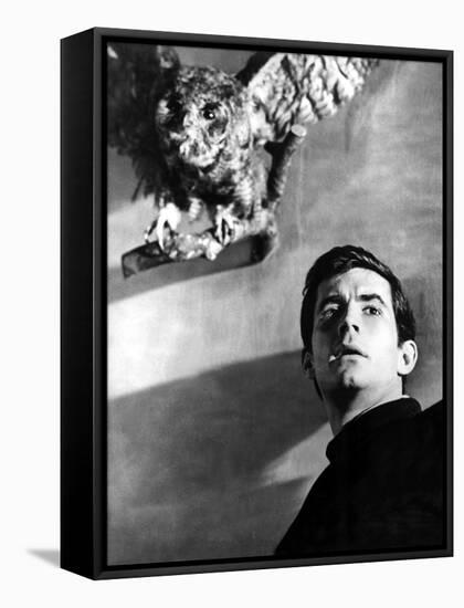 Psycho, Anthony Perkins, 1960-null-Framed Stretched Canvas