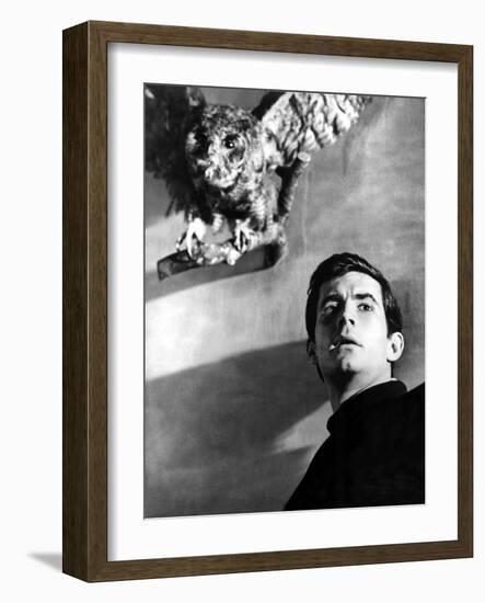 Psycho, Anthony Perkins, 1960-null-Framed Photo