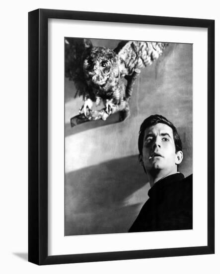 Psycho, Anthony Perkins, 1960-null-Framed Photo