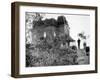 Psycho, Anthony Perkins, 1960-null-Framed Photo