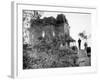 Psycho, Anthony Perkins, 1960-null-Framed Photo