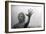 Psycho, Janet Leigh, 1960-null-Framed Premium Photographic Print