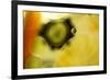 Psycho Swirl-Carrie Webster-Framed Photographic Print