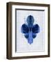 Psychological Design 2-Meili Van Andel-Framed Art Print