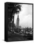 Pt Boats Docked at the Port of Miami-null-Framed Stretched Canvas