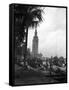 Pt Boats Docked at the Port of Miami-null-Framed Stretched Canvas