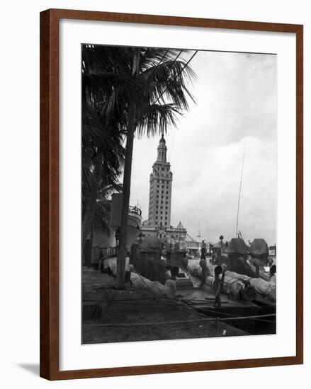 Pt Boats Docked at the Port of Miami-null-Framed Photographic Print