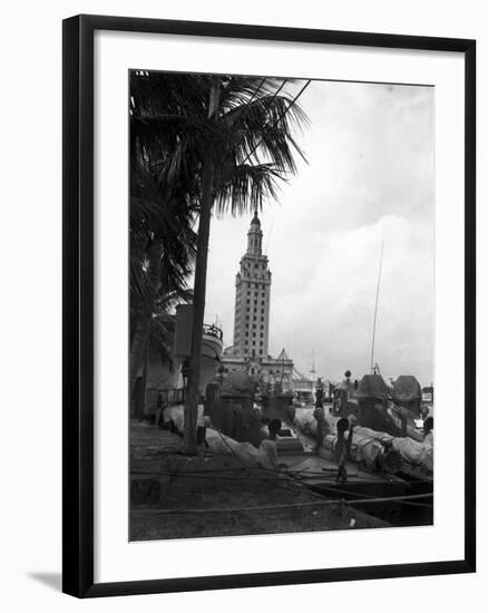 Pt Boats Docked at the Port of Miami-null-Framed Photographic Print