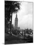 Pt Boats Docked at the Port of Miami-null-Mounted Photographic Print