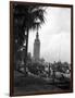 Pt Boats Docked at the Port of Miami-null-Framed Photographic Print