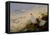 Ptarmigan, 1903-Archibald Thorburn-Framed Stretched Canvas