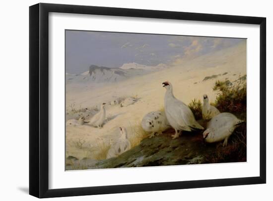 Ptarmigan, 1903-Archibald Thorburn-Framed Giclee Print