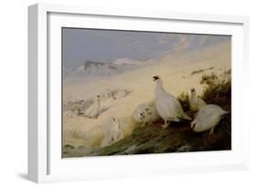 Ptarmigan, 1903-Archibald Thorburn-Framed Giclee Print