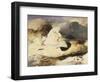 Ptarmigan in a Landscape, 1833 (Oil on Panel)-Edwin Landseer-Framed Giclee Print