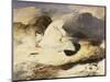 Ptarmigan in a Landscape, 1833 (Oil on Panel)-Edwin Landseer-Mounted Giclee Print