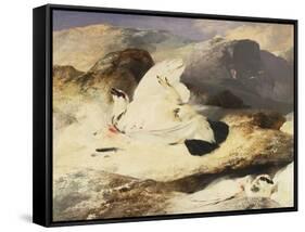 Ptarmigan in a Landscape, 1833 (Oil on Panel)-Edwin Landseer-Framed Stretched Canvas