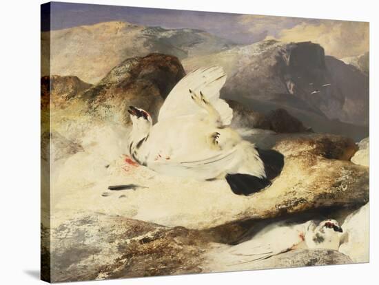 Ptarmigan in a Landscape, 1833 (Oil on Panel)-Edwin Landseer-Stretched Canvas