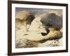 Ptarmigan in a Landscape, 1833 (Oil on Panel)-Edwin Landseer-Framed Giclee Print