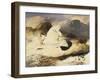 Ptarmigan in a Landscape, 1833 (Oil on Panel)-Edwin Landseer-Framed Giclee Print