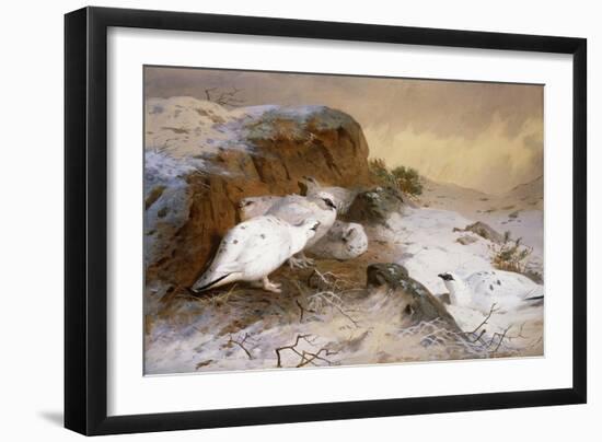 Ptarmigan in the Snow-Archibald Thorburn-Framed Giclee Print