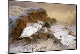 Ptarmigan in the Snow-Archibald Thorburn-Mounted Giclee Print