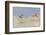 Ptarmigan (Lagopus Mutus) Hen in Summer Plumage Behind Rocks. Cairngorms National Park, Scotland-Fergus Gill-Framed Photographic Print